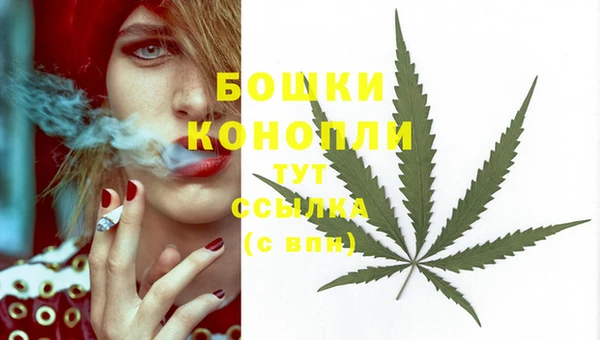 эйфоретик Касимов