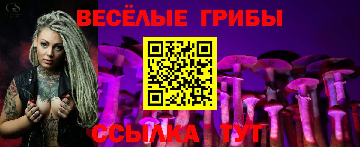 Галлюциногенные грибы мицелий Бийск