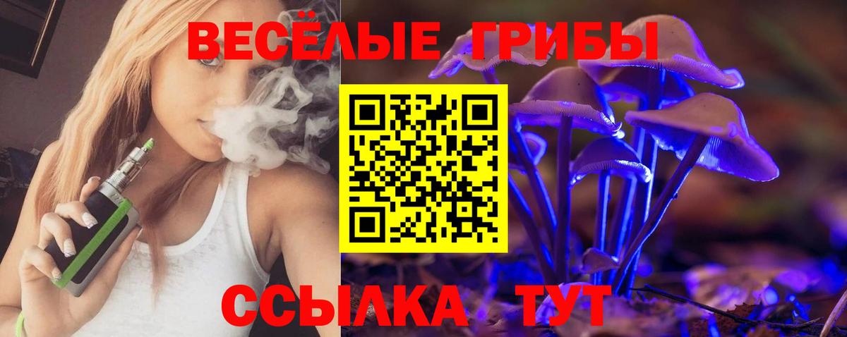 купить наркотик  Бийск  Псилоцибиновые грибы MAGIC MUSHROOMS 