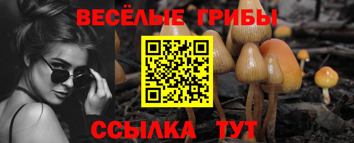 Бийск  Псилоцибиновые грибы прущие грибы  Вход с VPN 