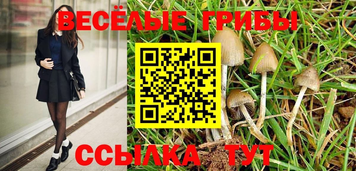 Псилоцибиновые грибы Magic Shrooms Бийск